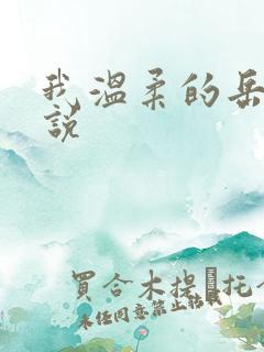 我温柔的岳母小说