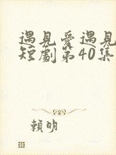 遇见爱遇见幸福短剧第40集