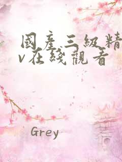 国产三级精品av在线观看