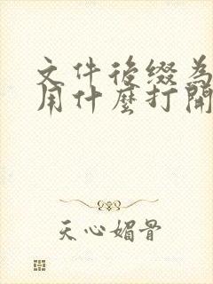 文件后缀为md用什么打开软件