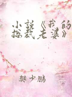 小说《我的冰山总裁老婆》