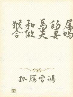 猴和马的属相适合做夫妻吗
