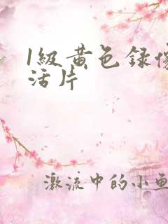 1级黄色录像生活片