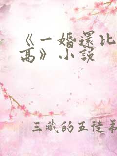 《一婚还比一婚高》小说