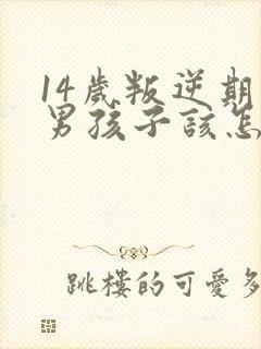 14岁叛逆期的男孩子该怎样去沟通教育