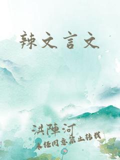 辣文言文