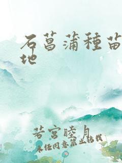 石菖蒲种苗植基地