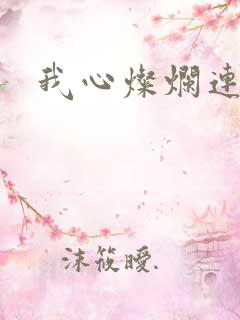 我心灿烂连续剧