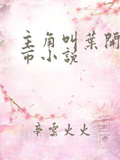 主角叫叶开的都市小说