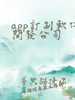app订制软件开发公司