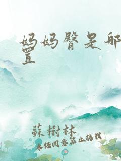 妈妈臀是哪个位置