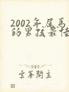 2002年属马的男孩最佳婚配