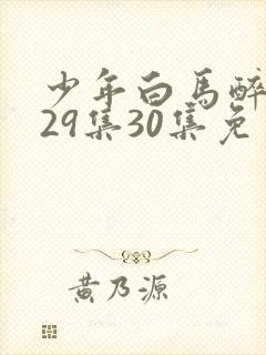 少年白马醉春风29集30集免费观看