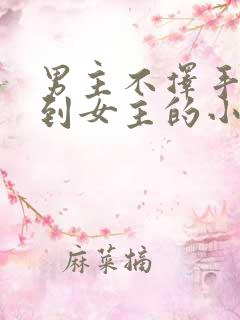 男主不择手段得到女主的小说