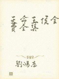 天命王侯金锋免费全集