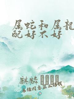 属蛇和属龙的婚配好不好