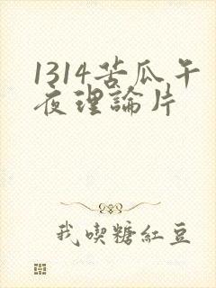 1314苦瓜午夜理论片