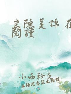 良陈美锦 在线阅读