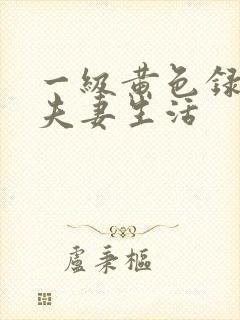 一级黄色录像片夫妻生活