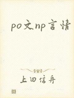 po文np言情