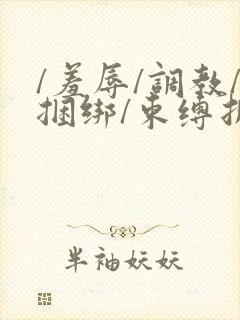 /羞辱/调教/捆绑/束缚折磨