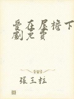 爱在屋檐下电视剧免费