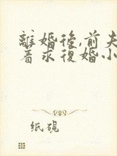 离婚后,前夫哭着求复婚小说全文在线阅读