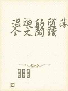 温迪的堕落小说全文阅读