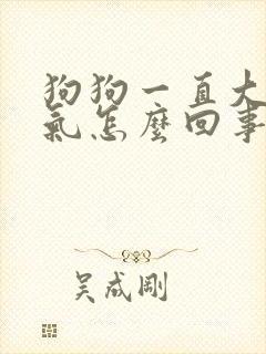 狗狗一直大口喘气怎么回事