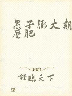 果子膨大期施什么肥