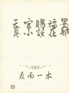 天官赐福墨香铜臭小说在那里更新