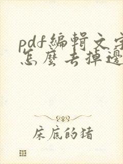 pdf编辑文字怎么去掉边框