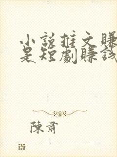 小说推文赚钱还是短剧赚钱