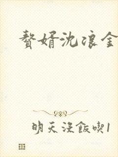 赘婿沈浪金木兰