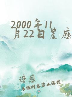 2000年11月22日农历生辰八字
