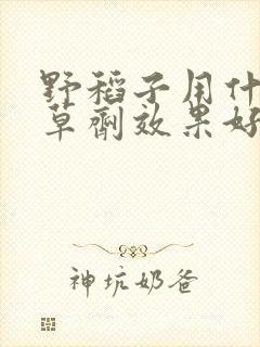 野稻子用什么除草剂效果好