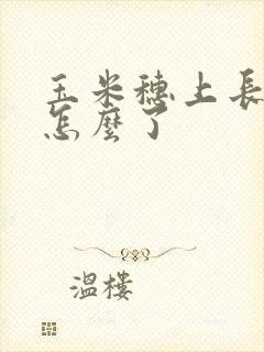 玉米穗上长穗是怎么了