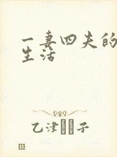 一妻四夫的甜蜜生活