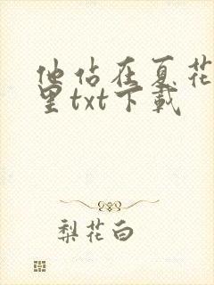 他站在夏花绚烂里txt下载