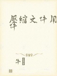压缩文件用的软件
