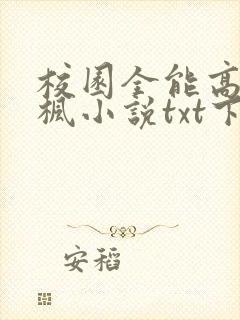 校园全能高手季枫小说txt下载完整版