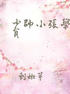 少帅小张学良演员