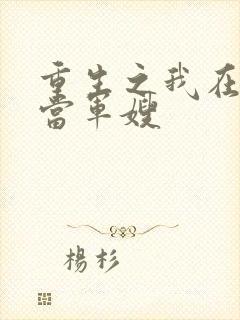 重生之我在八零当军嫂