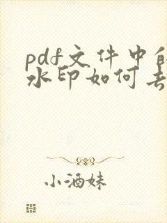 pdf文件中的水印如何去掉