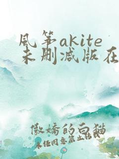 风筝akite未删减版在线观看