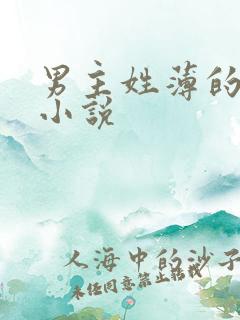 男主姓薄的全部小说
