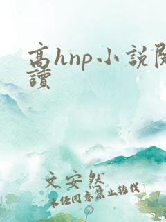 高hnp小说阅读