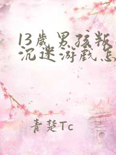 13岁男孩叛逆沉迷游戏怎么办呀