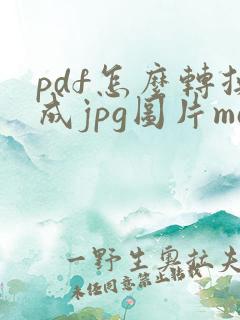 pdf怎么转换成jpg图片mac