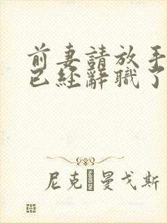 前妻请放手,我已经辞职了电视连续剧